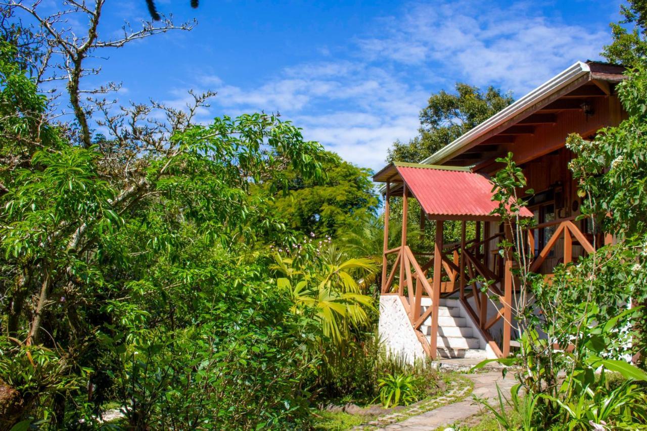 Hotel Holistico Monteverde Екстериор снимка