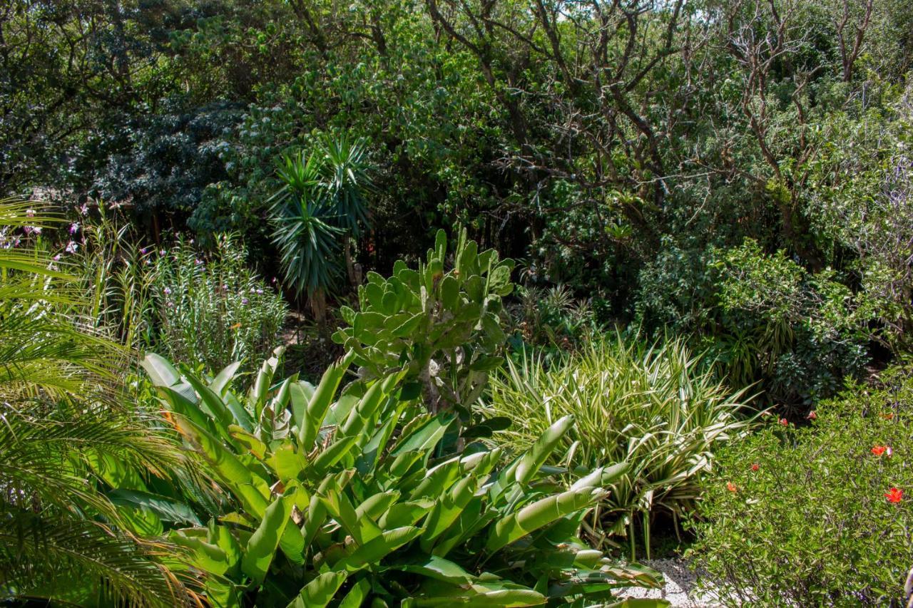 Hotel Holistico Monteverde Екстериор снимка